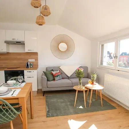 Appartement Le Belvedere Alsacien