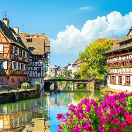 Le Belvedere Alsacien