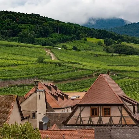 Le Belvedere Alsacien Sélestat