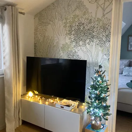 Le Belvedere Alsacien Appartement