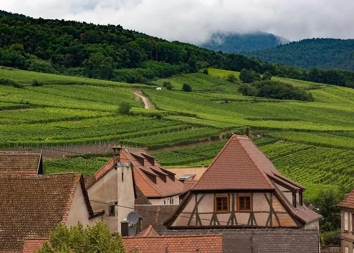 Le Belvedere Alsacien Sélestat